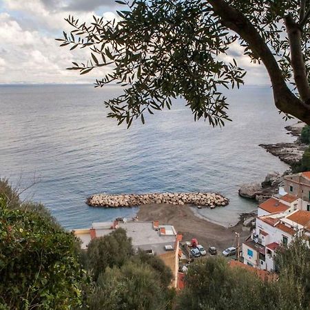 Maison Del Mare Sorrento. מראה חיצוני תמונה