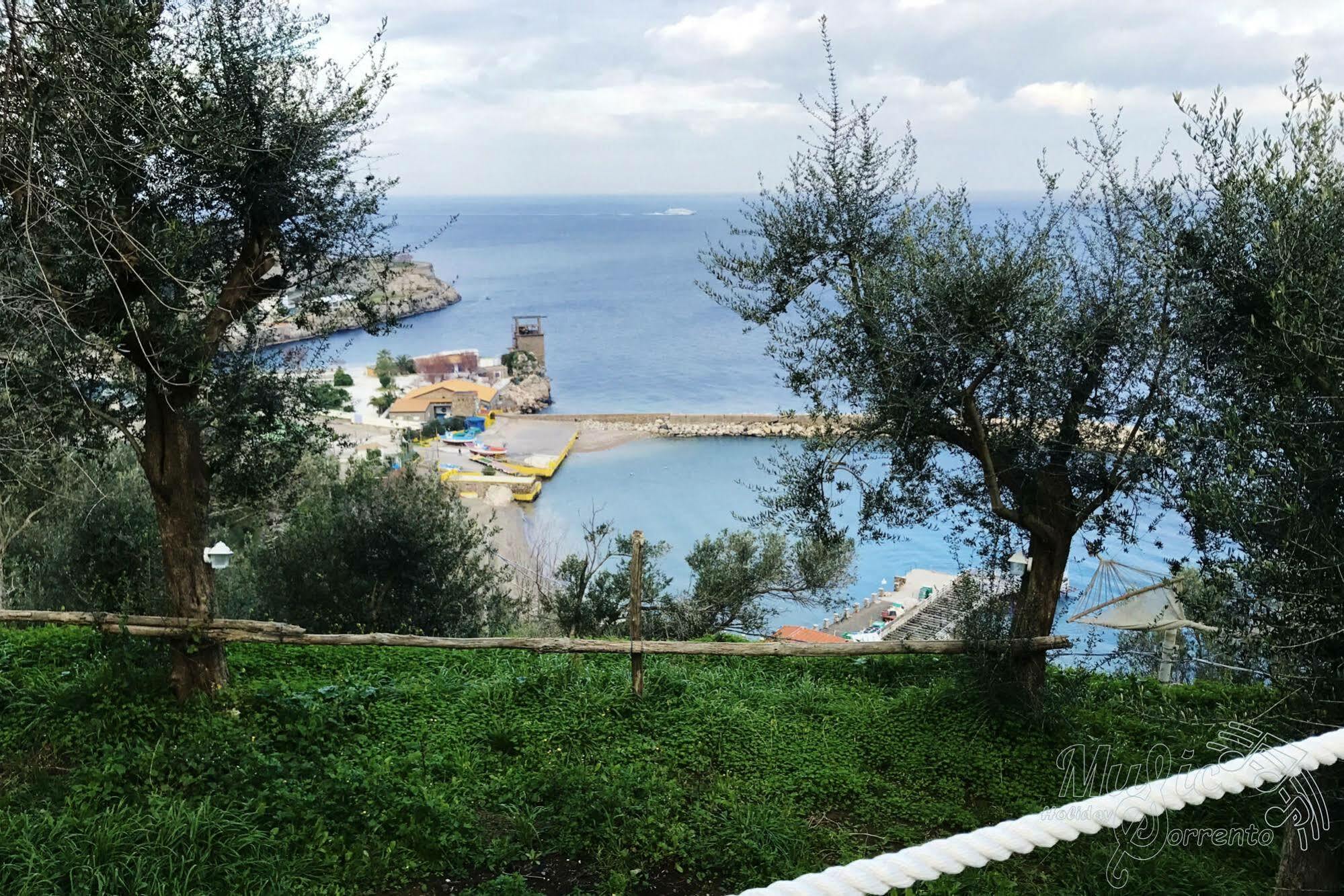 Maison Del Mare Sorrento. מראה חיצוני תמונה