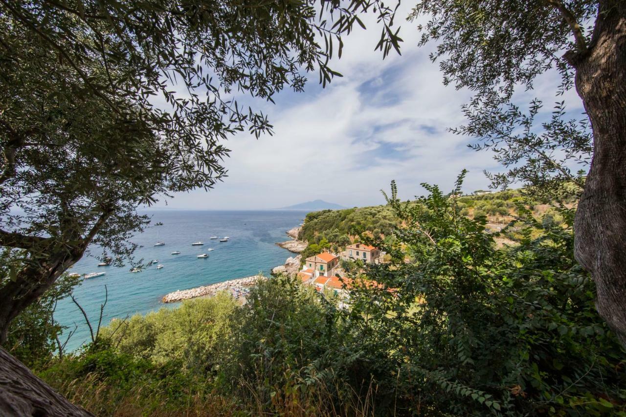 Maison Del Mare Sorrento. מראה חיצוני תמונה