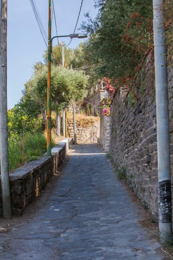 Maison Del Mare Sorrento. מראה חיצוני תמונה