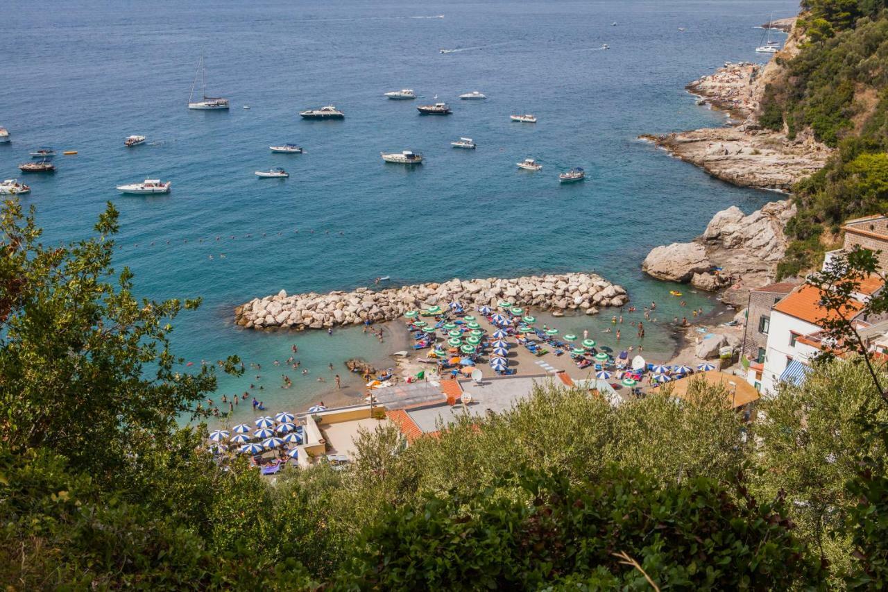Maison Del Mare Sorrento. מראה חיצוני תמונה